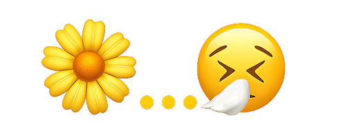 Flower and Sneeze